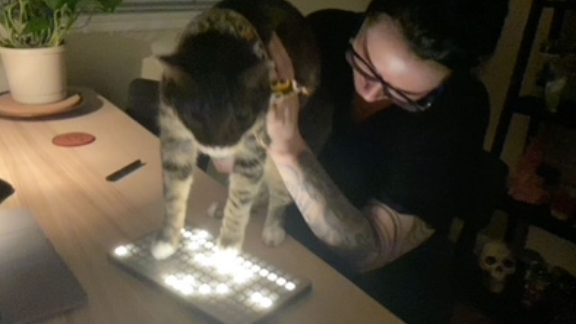Bunting playing Monome Grid