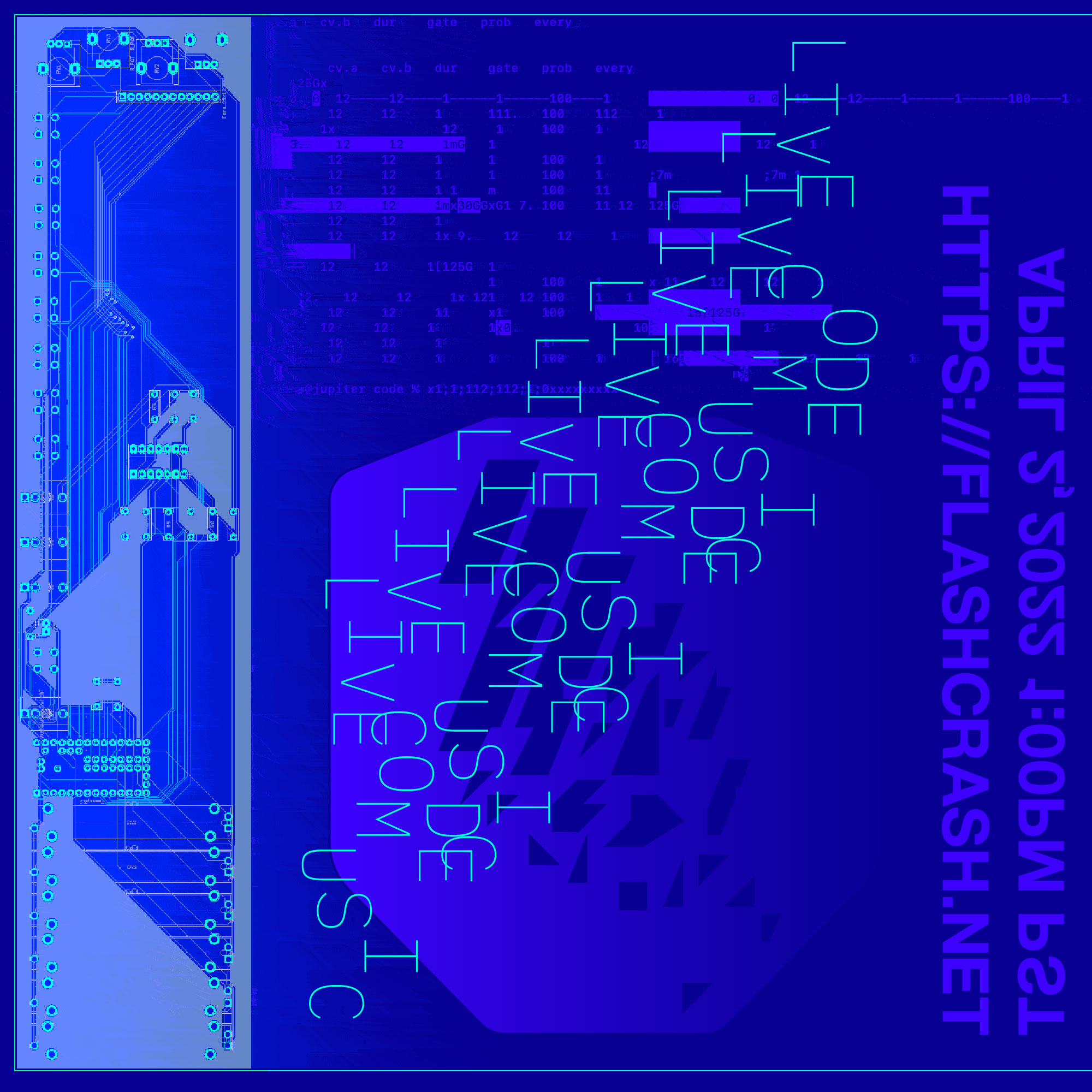 FLASH CRASH