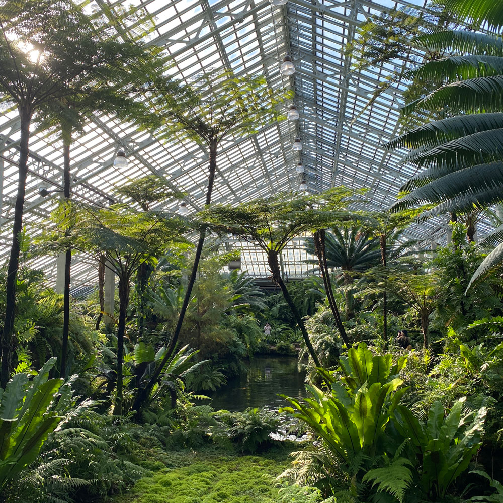 Garfield Park Conservatory