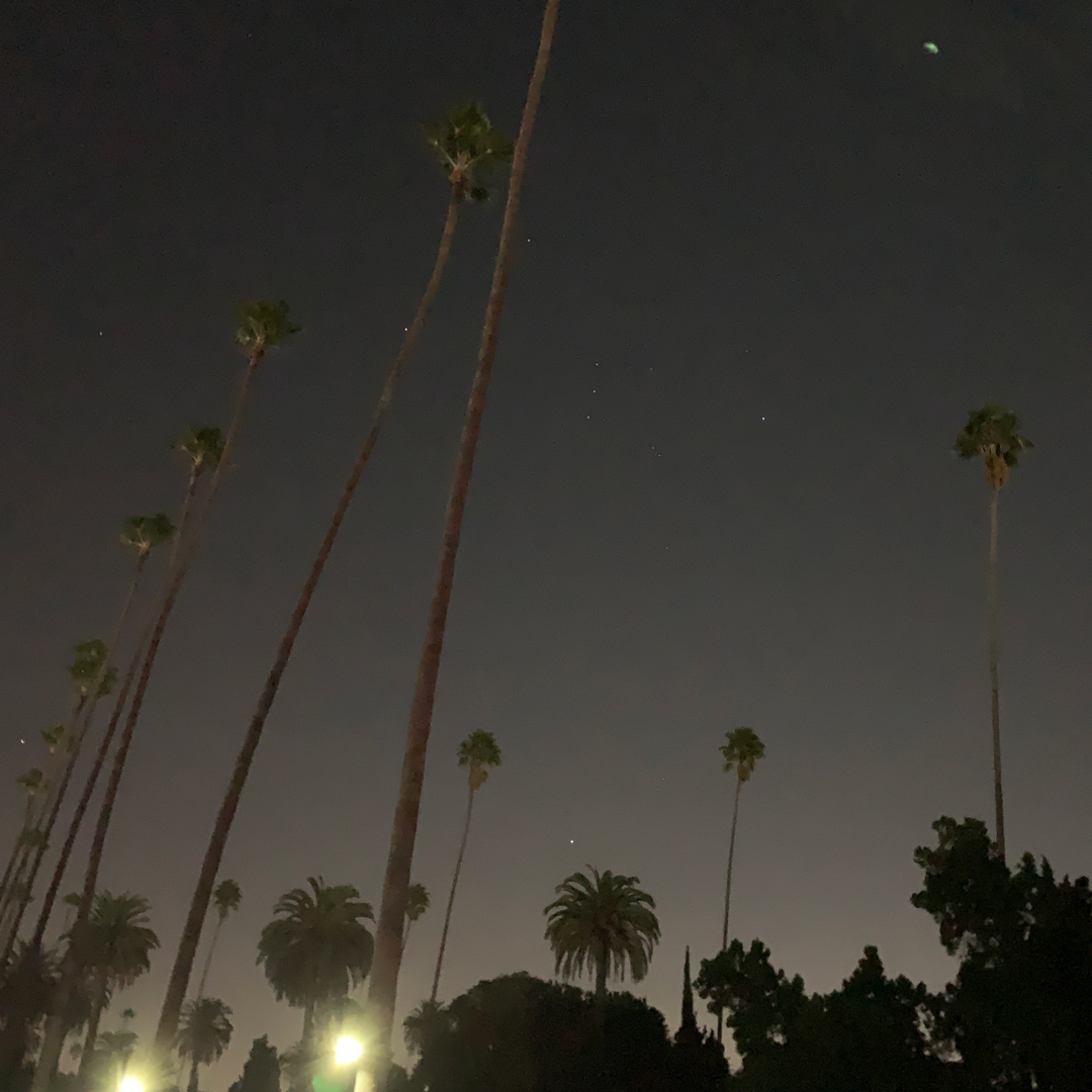 Hollywood Forever Cemetery