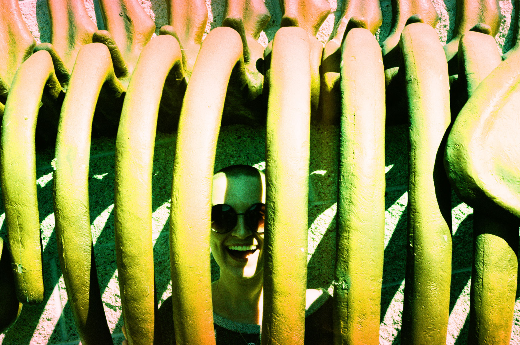Sage in Dinosaur Ribcage