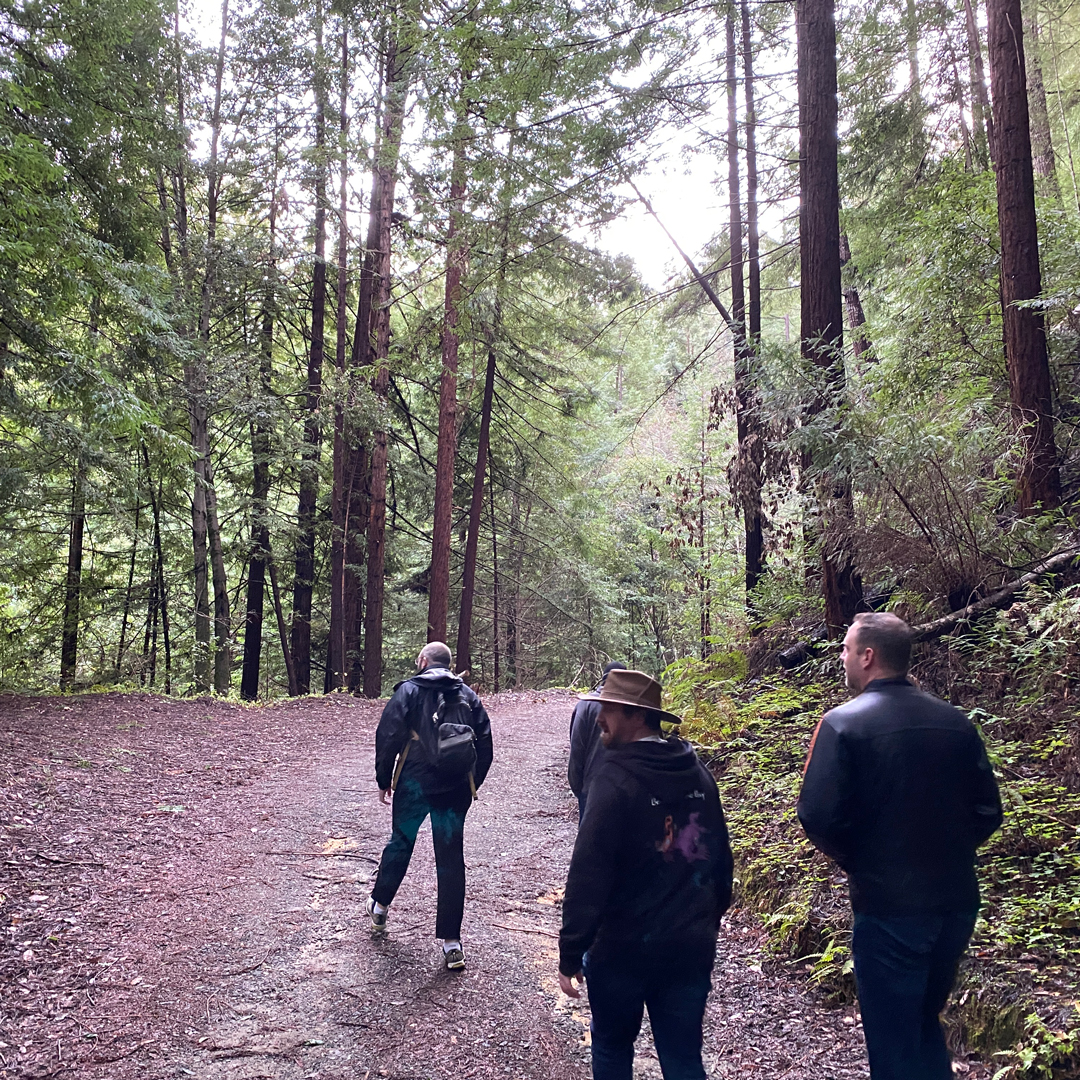 Pescadero Creek Park