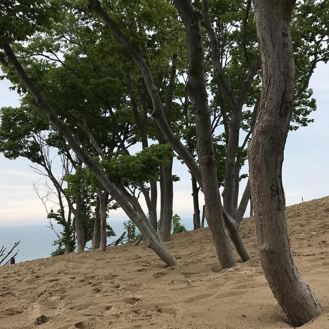 Warren Dunes